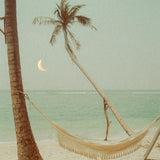 Tropical Eclypse